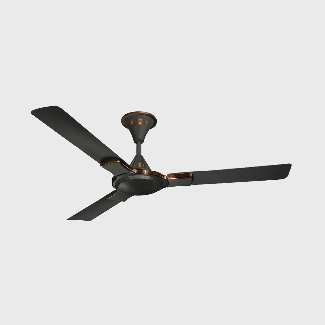 Passion Ceiling Fan